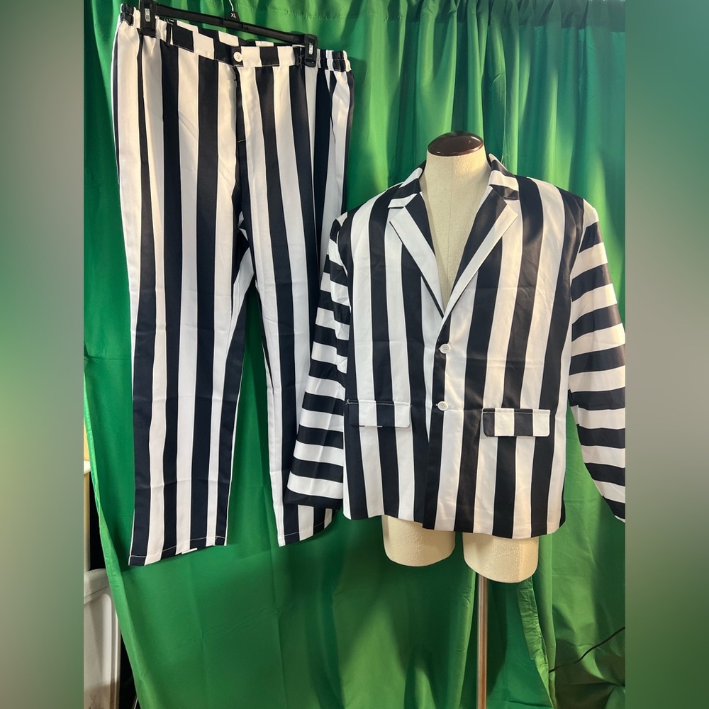 Beetlejuice Halloween 2 piece suit costume